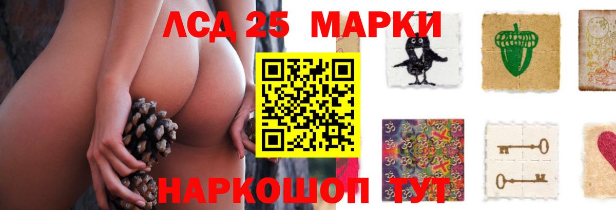 Электрогорск  ссылка на мегу зеркало  LSD-25 экстази кислота  Вход с VPN  LSD-25 экстази кислота  LSD-25 экстази 