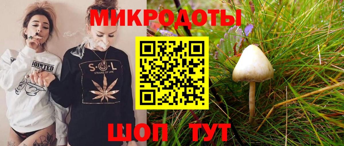 Электрогорск  Псилоцибиновые грибы мухоморы  сколько стоит  Вход с VPN 
